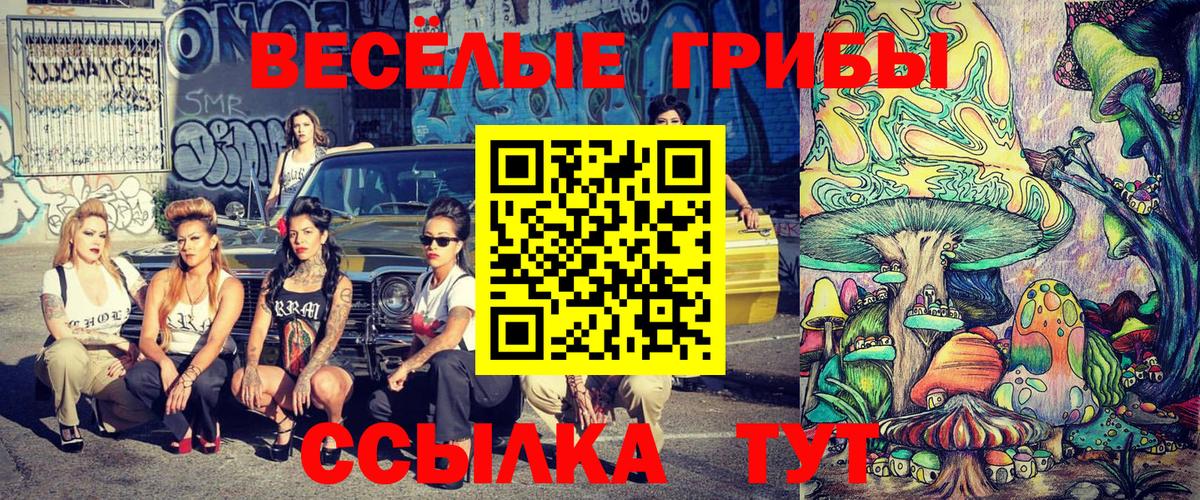 Псилоцибиновые грибы MAGIC MUSHROOMS  Галлюциногенные грибы MAGIC MUSHROOMS  Краснокаменск  Вход с VPN 